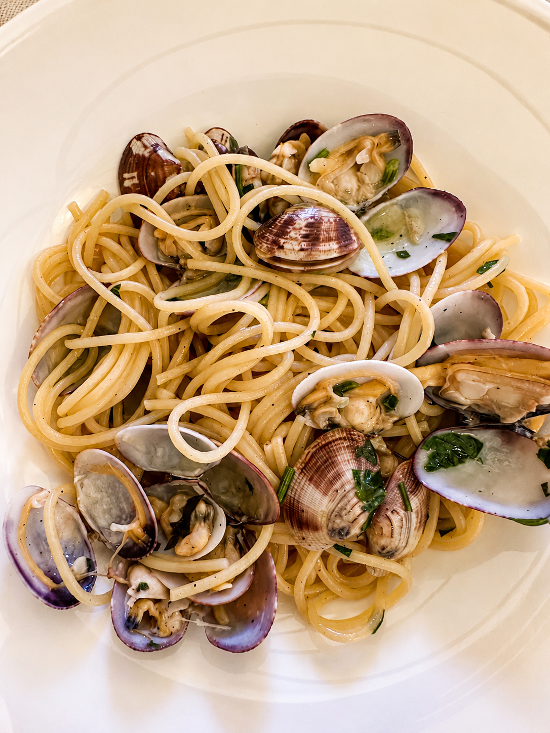 Spaghetti alle vongole serviti in piatto bianco